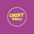 Cheeky Bingo