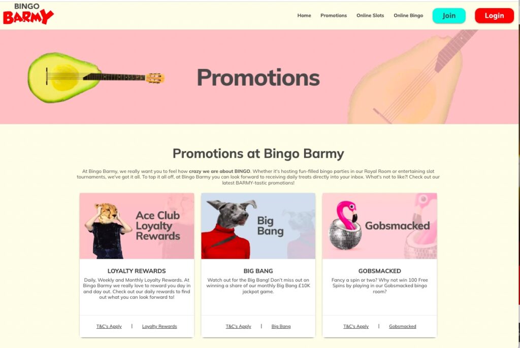 Bingo Barmy Promotions