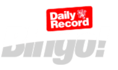 Daily Record Bingo