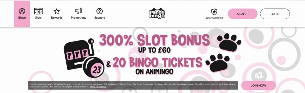Panda Bingo Welcome Offer